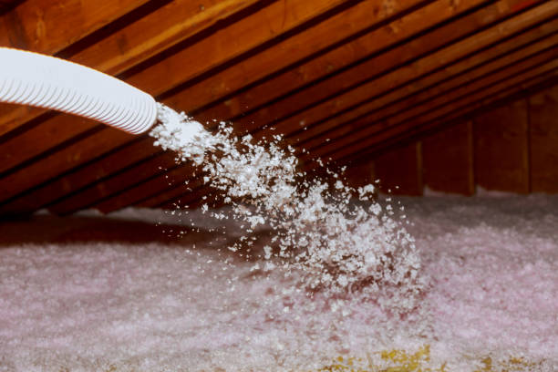 Best Spray Foam Insulation  in Vienna, VA